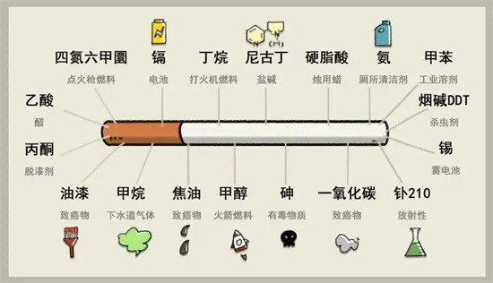 世界無(wú)煙日——“無(wú)煙，為成長(zhǎng)護(hù)航”