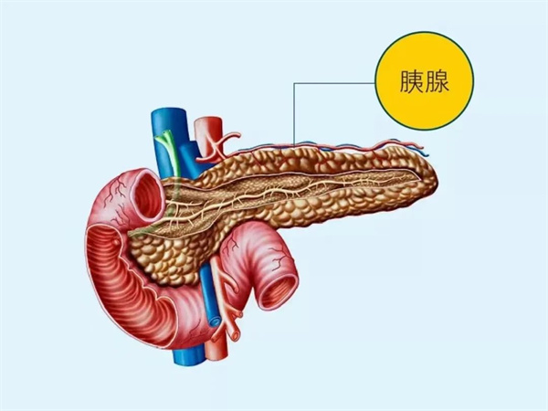 【世界胰腺癌日】關(guān)注胰腺癌，讓愛看得見